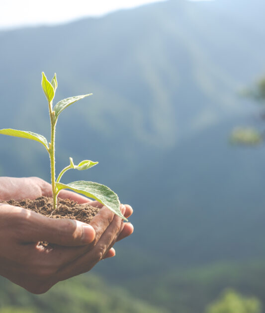 Atelier de sensibilisation à l'écologie