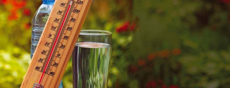 Canicule