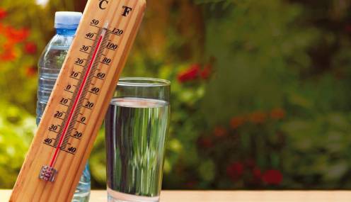 Canicule