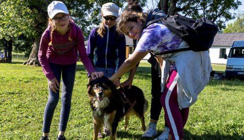 Séjour été 2025 Vertaco des bois