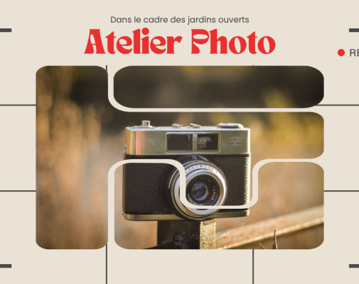 Jardins ouverts 2025 - Atelier photo