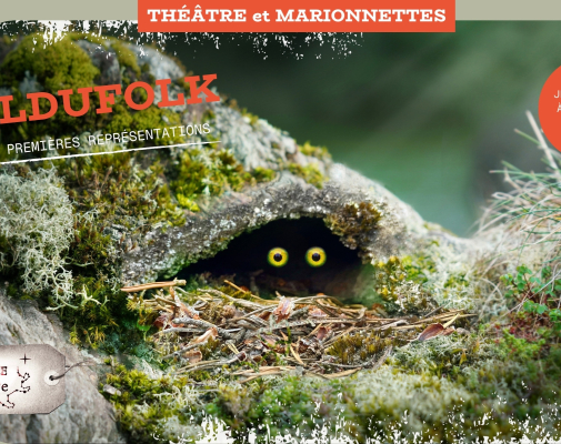 Huldufolk, le petit peuple caché