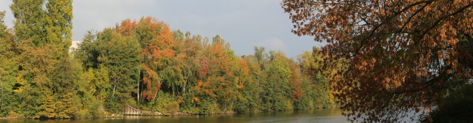 Home Automne 2025