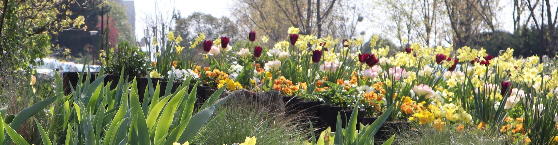 C'est le printemps à Eragny ! 