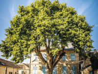 Maison Bernardin de Saint-Pierre