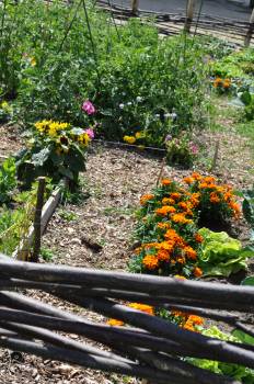 Les jardins partagés de la Challe