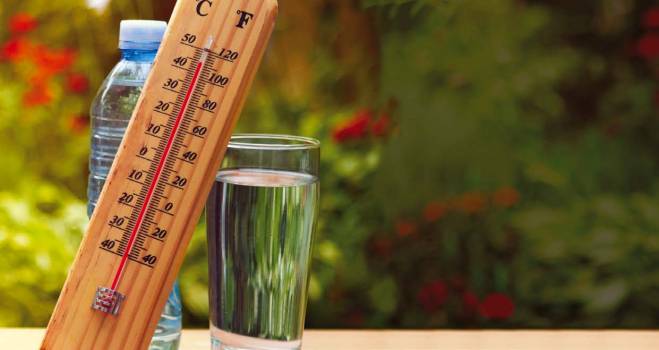 Canicule