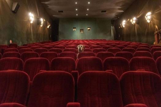 salle de cinéma avec un chien