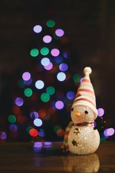 LE PETIT BAL DE NOËL