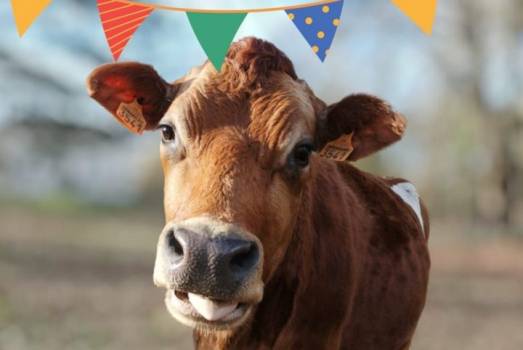 10 ans de la ferme de Pontoise