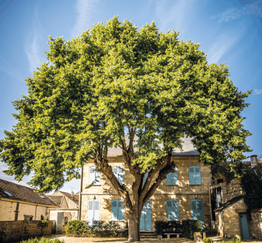 Maison Bernardin de Saint-Pierre