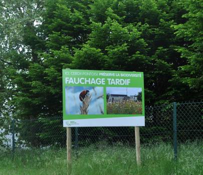 Fauchage tardif