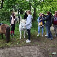 Balades en poneys - Jardin et nature en fête