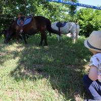 Jardin, Nature et Environnement en fête