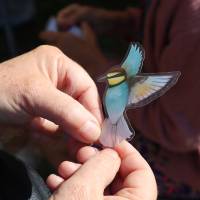 Jardin, Nature et Environnement en fête