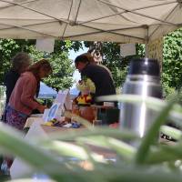 Jardin, Nature et Environnement en fête