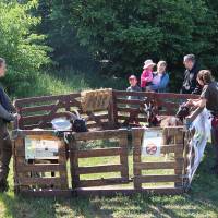 Jardin, Nature et Environnement en fête