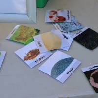 Jardin, Nature et Environnement en fête