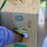 Jardin, Nature et Environnement en fête