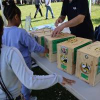 Jardin, Nature et Environnement en fête
