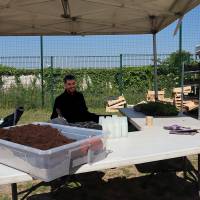Jardin, Nature et Environnement en fête