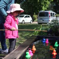 Jardin, Nature et Environnement en fête