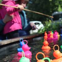 Jardin, Nature et Environnement en fête