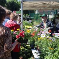Jardin, Nature et Environnement en fête