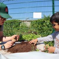 Jardin, Nature et Environnement en fête