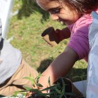 Jardin, Nature et Environnement en fête