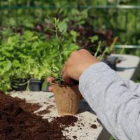 Jardin, Nature et Environnement en fête