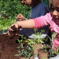Jardin, Nature et Environnement en fête