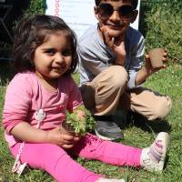 Jardin, Nature et Environnement en fête