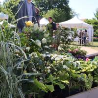 Jardin, Nature et Environnement en fête