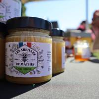 Jardin, Nature et Environnement en fête