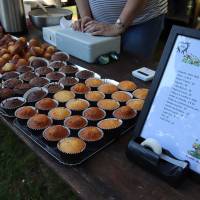 Jardin, Nature et Environnement en fête