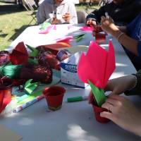 Jardin, Nature et Environnement en fête