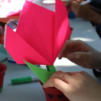 Jardin, Nature et Environnement en fête