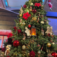 Marché de Noël 2025