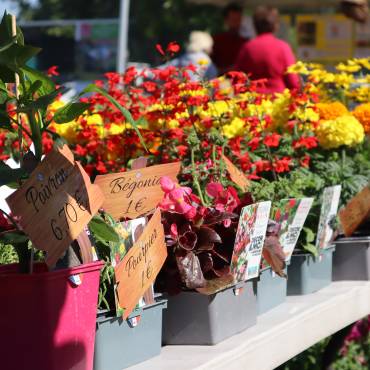 Jardin, Nature et Environnement en fête