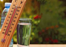 Canicule