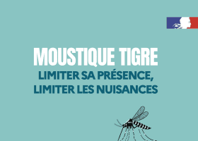 Campagne de l'ARS contre le moustique tigre - version WEB